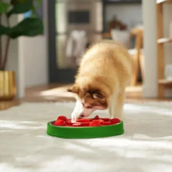 Frisco Watermelon Interactive Puzzle Dog Toy, Advanced 12 Frisco Watermelon Interactive Puzzle Dog Toy, Advanced -ROYAL CANIN Shop 506322 PT5. AC SS1800 V1674667034