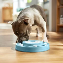 Frisco Two Tier Interactive Puzzle Dog Toy, Easy -ROYAL CANIN Shop 506370 PT5. AC SS1800 V1674671566