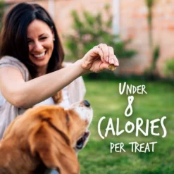 Fruitables Pumpkin & Blueberry Flavor Dog Treats -ROYAL CANIN Shop 50845 PT5. AC SS1800 V1594328452