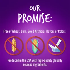 Fruitables Pumpkin & Blueberry Flavor Dog Treats -ROYAL CANIN Shop 50845 PT7. AC SS1800 V1594329059