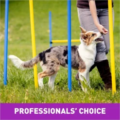 Cloud Star Crunchy Tricky Trainers Liver Flavor Dog Treats -ROYAL CANIN Shop 51299 PT6. AC SS1800 V1624918103