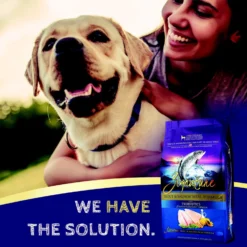 Zignature Limited Ingredient Formula Trout & Salmon Meal Dry Dog Food -ROYAL CANIN Shop 51580 PT6. AC SS1800 V1660847428