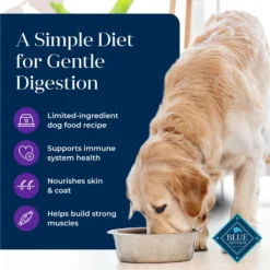 Blue Buffalo Basics Skin & Stomach Care Grain-Free Formula Turkey & Potato Recipe Adult Dry Dog Food -ROYAL CANIN Shop 51899 PT2. AC SS1800 V1646269035