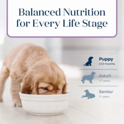Blue Buffalo Basics Skin & Stomach Care Turkey & Potato Recipe Puppy Dry Dog Food -ROYAL CANIN Shop 51912 PT7. AC SS1800 V1646277389
