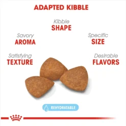 Royal Canin Size Health Nutrition X-Small Aging 12+ Dry Dog Food -ROYAL CANIN Shop 52398 PT2. AC SS1800 V1697216176