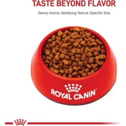 Featured Products -ROYAL CANIN Shop 52402 PT1. AC SS1800 V1697138471