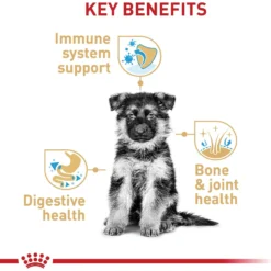 Royal Canin Breed Health Nutrition German Shepherd Puppy Dry Dog Food -ROYAL CANIN Shop 52513 PT4. AC SS1800 V1697212337