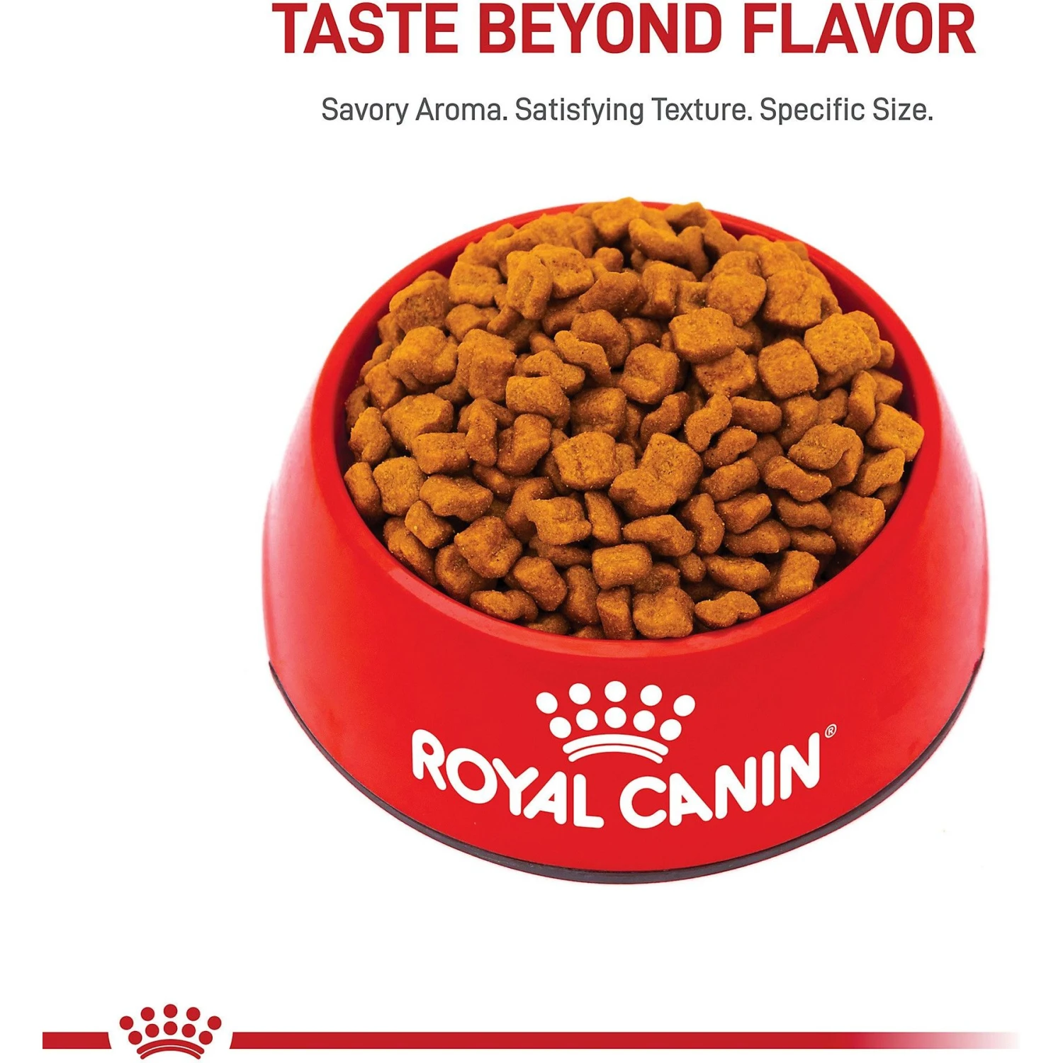 Royal Canin Breed Health Nutrition Bulldog Puppy Dry Dog Food 2 Royal Canin Breed Health Nutrition Bulldog Puppy Dry Dog Food - Image 2