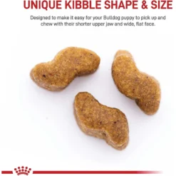 Royal Canin Breed Health Nutrition Bulldog Puppy Dry Dog Food 12 Royal Canin Breed Health Nutrition Bulldog Puppy Dry Dog Food -ROYAL CANIN Shop 52515 PT3. AC SS1800 V1697217013