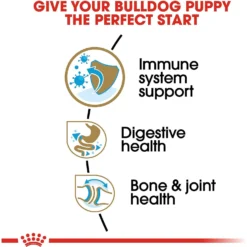 Royal Canin Breed Health Nutrition Bulldog Puppy Dry Dog Food 13 Royal Canin Breed Health Nutrition Bulldog Puppy Dry Dog Food -ROYAL CANIN Shop 52515 PT4. AC SS1800 V1697213712