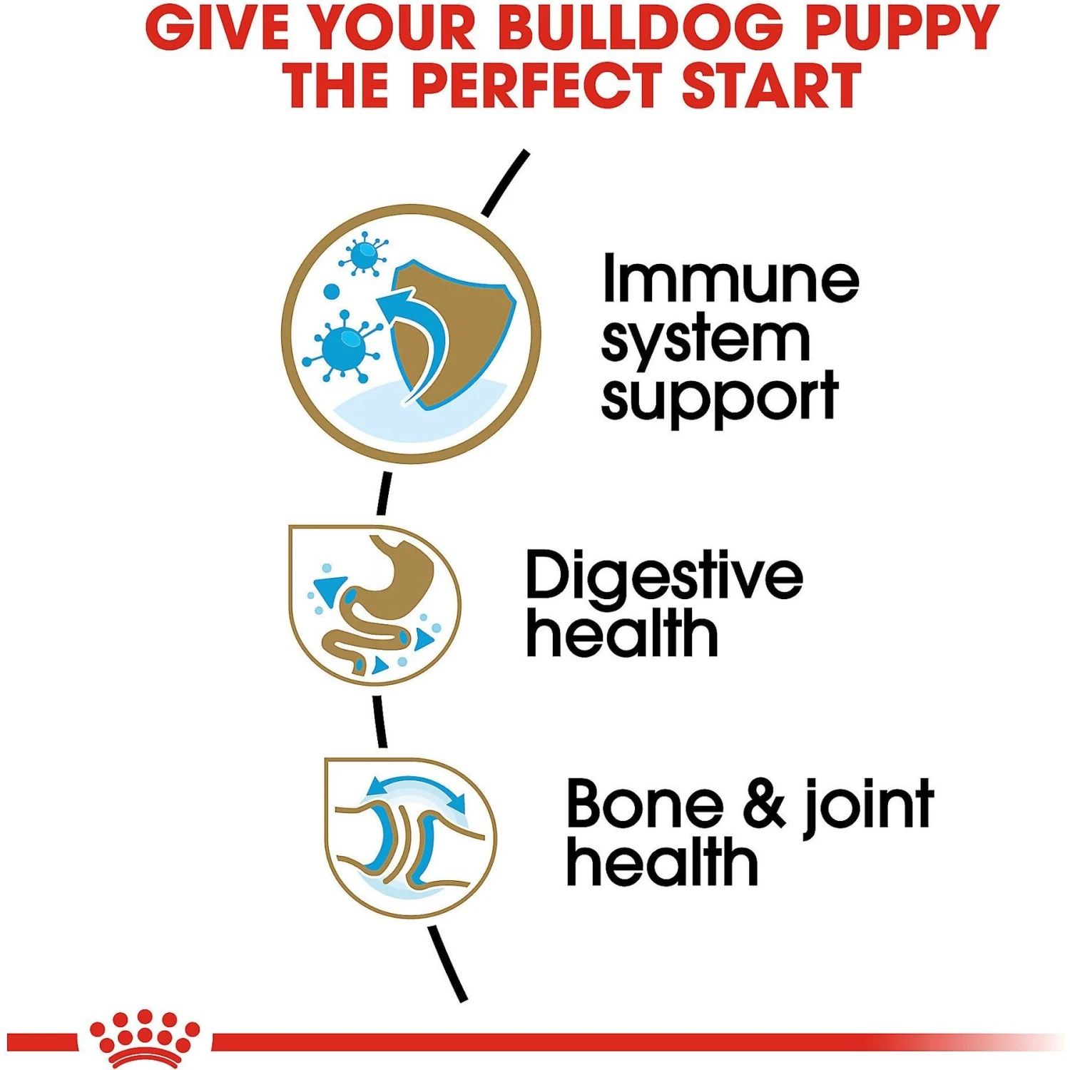 Royal Canin Breed Health Nutrition Bulldog Puppy Dry Dog Food 5 Royal Canin Breed Health Nutrition Bulldog Puppy Dry Dog Food - Image 5