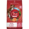 Purina ONE +Plus Adult Skin & Coat Formula Dry Dog Food