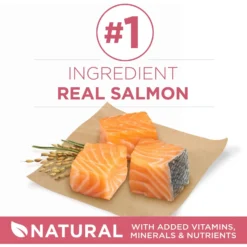 Purina ONE +Plus Adult Skin & Coat Formula Dry Dog Food 11 Purina ONE +Plus Adult Skin & Coat Formula Dry Dog Food -ROYAL CANIN Shop 52545 PT2. AC SS1800 V1657658481