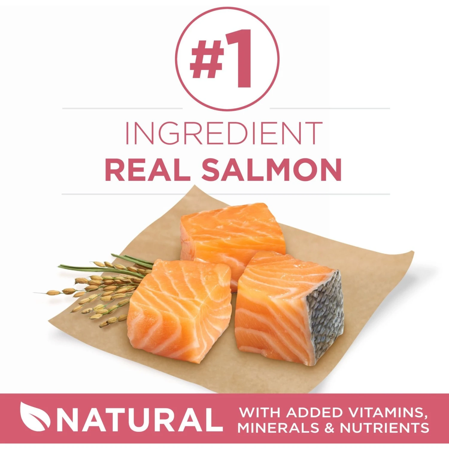 Purina ONE +Plus Adult Skin & Coat Formula Dry Dog Food 3 Purina ONE +Plus Adult Skin & Coat Formula Dry Dog Food - Image 3