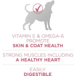 Purina ONE +Plus Adult Skin & Coat Formula Dry Dog Food 12 Purina ONE +Plus Adult Skin & Coat Formula Dry Dog Food -ROYAL CANIN Shop 52545 PT3. AC SS1800 V1649690191