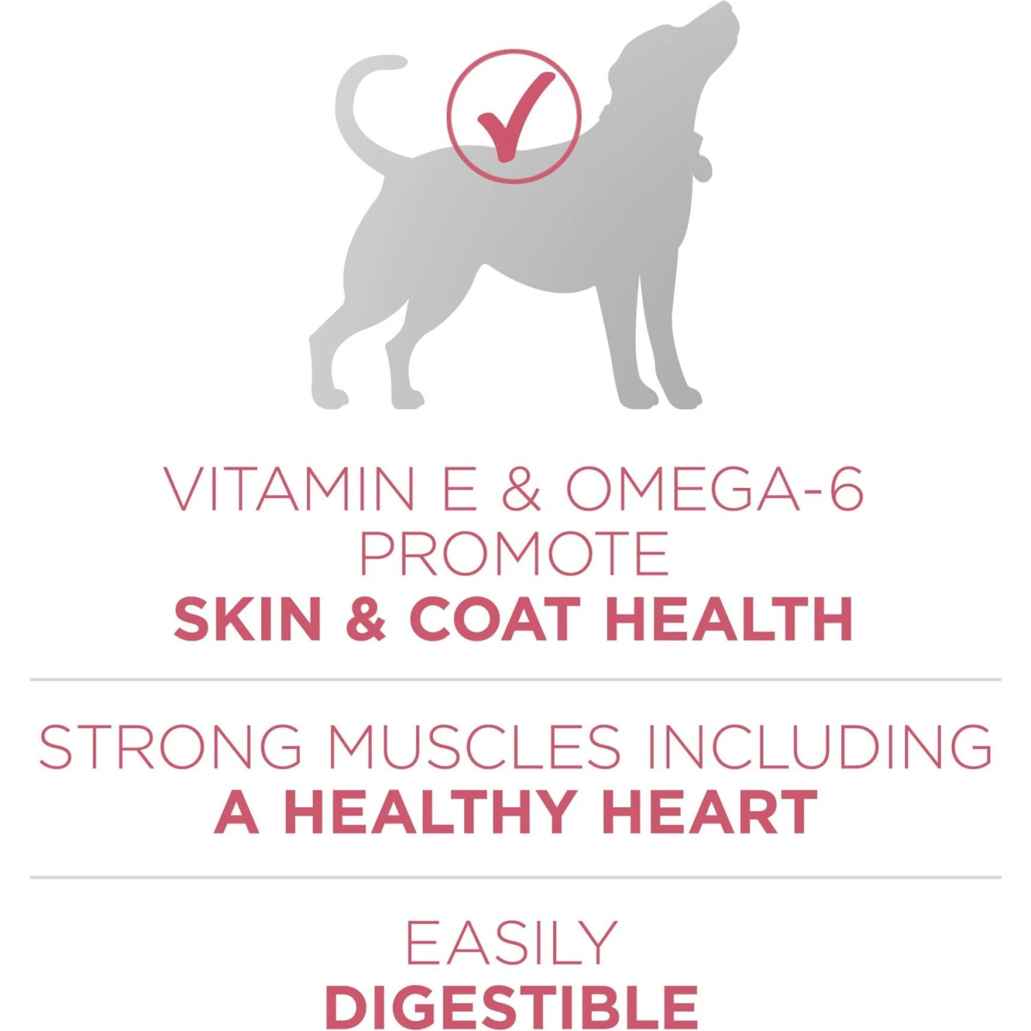 Purina ONE +Plus Adult Skin & Coat Formula Dry Dog Food 4 Purina ONE +Plus Adult Skin & Coat Formula Dry Dog Food - Image 4