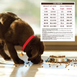 Holistic Select Adult & Puppy Grain-Free Salmon, Anchovy & Sardine Meal Recipe Dry Dog Food -ROYAL CANIN Shop 52626 PT5. AC SS1800 V1660574180