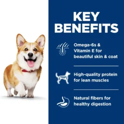 Hill's Science Diet Adult Small Bites Lamb Meal & Brown Rice Recipe Dry Dog Food -ROYAL CANIN Shop 52719 PT4. AC SS1800 V1598149565