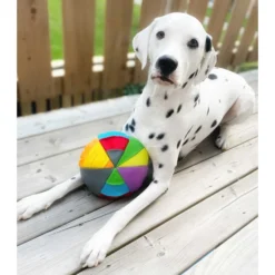 FouFIT Hide 'n Seek Disc Dog Toys, Multicolor 8 FouFIT Hide 'n Seek Disc Dog Toys, Multicolor -ROYAL CANIN Shop 528302 PT3. AC SS1800 V1657658561