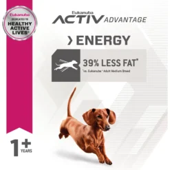 Eukanuba Fit Body Weight Control Small Breed Dry Dog Food -ROYAL CANIN Shop 533158 PT5. AC SS1800 V1652738210