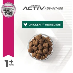 Eukanuba Fit Body Weight Control Large Breed Dry Dog Food -ROYAL CANIN Shop 533174 PT2. AC SS1800 V1652775712