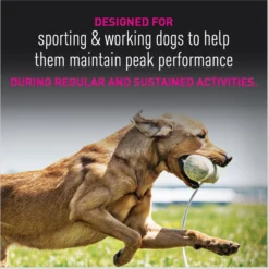 Eukanuba Premium Performance 30/20 SPORT Adult Dry Dog Food -ROYAL CANIN Shop 533198 PT8. AC SS1800 V1677085178