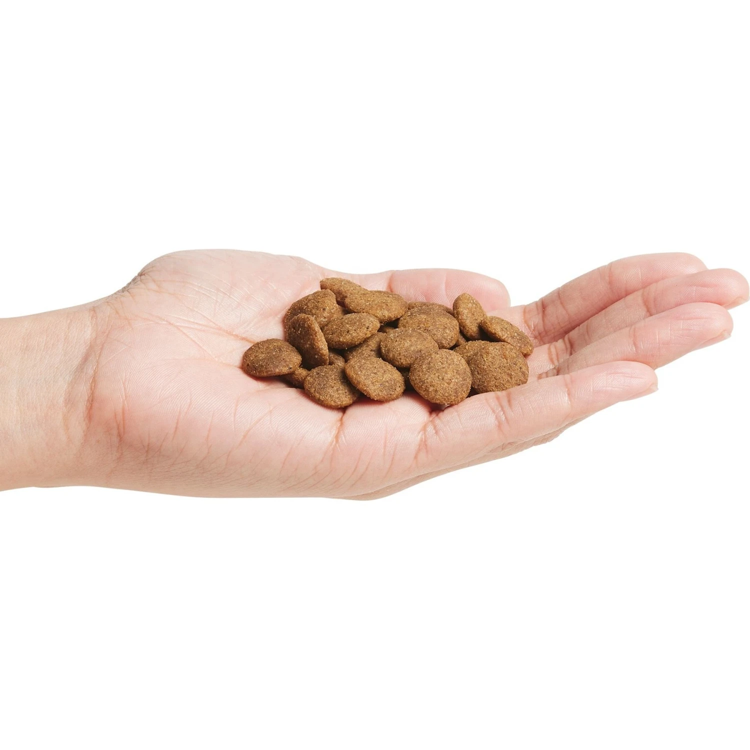 Natural Balance Limited Ingredient Lamb & Brown Rice Recipe Dry Dog Food 2 Natural Balance Limited Ingredient Lamb & Brown Rice Recipe Dry Dog Food - Image 2