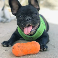 Ruff Dawg Peanut Treat Dispenser Dog Toy, Color Varies 7 Ruff Dawg Peanut Treat Dispenser Dog Toy, Color Varies -ROYAL CANIN Shop 53810 PT2. AC SS1800 V1602300361