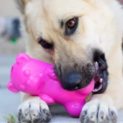 Ruff Dawg Gummy Bear Treat Dispenser Dog Toy, Color Varies 8 Ruff Dawg Gummy Bear Treat Dispenser Dog Toy, Color Varies -ROYAL CANIN Shop 53877 PT2. AC SS1800 V1602290161