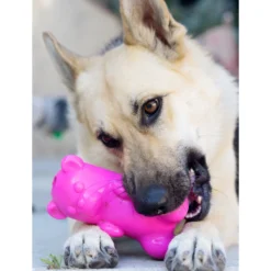 Ruff Dawg Gummy Bear Treat Dispenser Dog Toy, Color Varies 10 Ruff Dawg Gummy Bear Treat Dispenser Dog Toy, Color Varies -ROYAL CANIN Shop 53877 PT4. AC SS1800 V1542666139