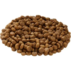 Health Extension Grain-Free Salmon Recipe Dry Dog Food & Health Extension Grain-Free Oven Baked Salmon Recipe With Kale Dog Treats -ROYAL CANIN Shop 551694 PT4. AC SS1800 V1657659453