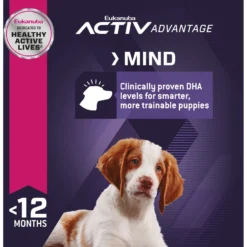 Eukanuba Puppy Medium Breed Dry Dog Food -ROYAL CANIN Shop 552334 PT5. AC SS1800 V1658217345