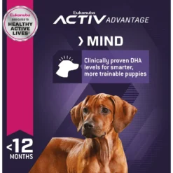 Eukanuba Puppy Large Breed Dry Dog Food -ROYAL CANIN Shop 552358 PT5. AC SS1800 V1653580908