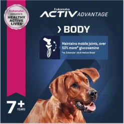 Eukanuba Senior Large Breed Dry Dog Food -ROYAL CANIN Shop 552374 PT4. AC SS1800 V1677085182