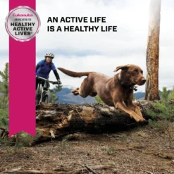 Eukanuba Adult Large Breed Dry Dog Food -ROYAL CANIN Shop 552422 PT7. AC SS1800 V1677085788