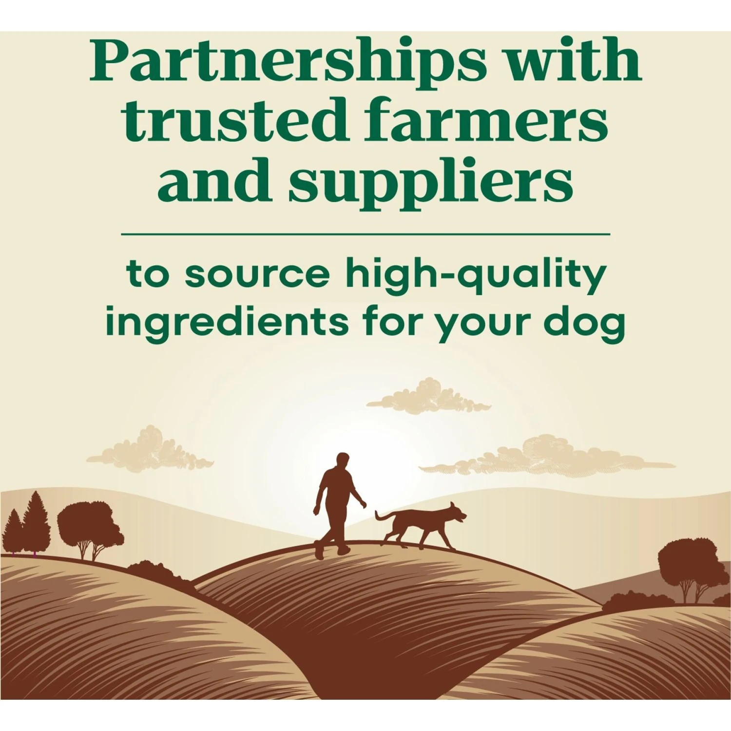 Nutro Max Adult Farm-Raised Lamb Recipe Natural Dry Dog Food, 25-lb Bag 8 Nutro Max Adult Farm-Raised Lamb Recipe Natural Dry Dog Food, 25-lb Bag - Image 8