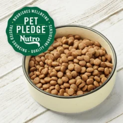 Nutro Max Adult Farm-Raised Beef Recipe Natural Dry Dog Food, 25-lb Bag 12 Nutro Max Adult Farm-Raised Beef Recipe Natural Dry Dog Food, 25-lb Bag -ROYAL CANIN Shop 569542 PT3. AC SS1800 V1702666588