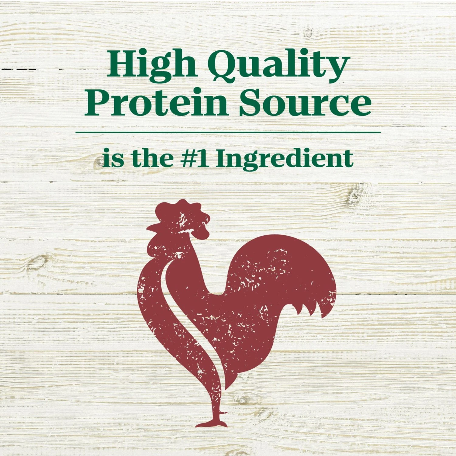 Nutro Max Adult Farm-Raised Beef Recipe Natural Dry Dog Food, 25-lb Bag 8 Nutro Max Adult Farm-Raised Beef Recipe Natural Dry Dog Food, 25-lb Bag - Image 8