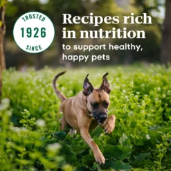 Nutro Max Large Breed Puppy Farm-Raised Chicken Recipe Natural Dry Dog Food, 25-lb Bag -ROYAL CANIN Shop 569590 PT6. AC SS1800 V1702666591