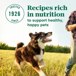 Nutro Max Large Breed Adult Farm-Raised Chicken Recipe Natural Dry Dog Food -ROYAL CANIN Shop 569606 PT6. AC SS1800 V1702666589