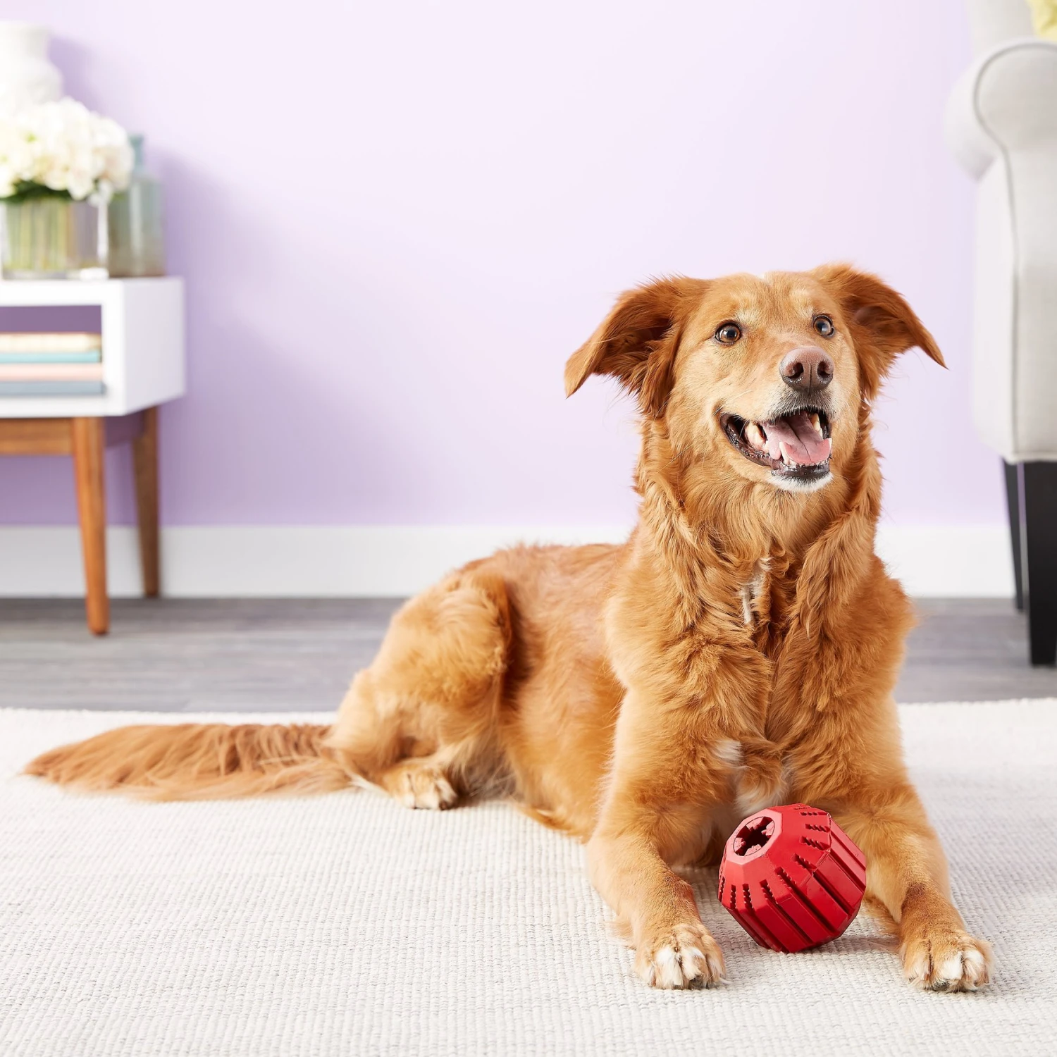 KONG Stuff A Ball Dog Toy 4 KONG Stuff A Ball Dog Toy - Image 4