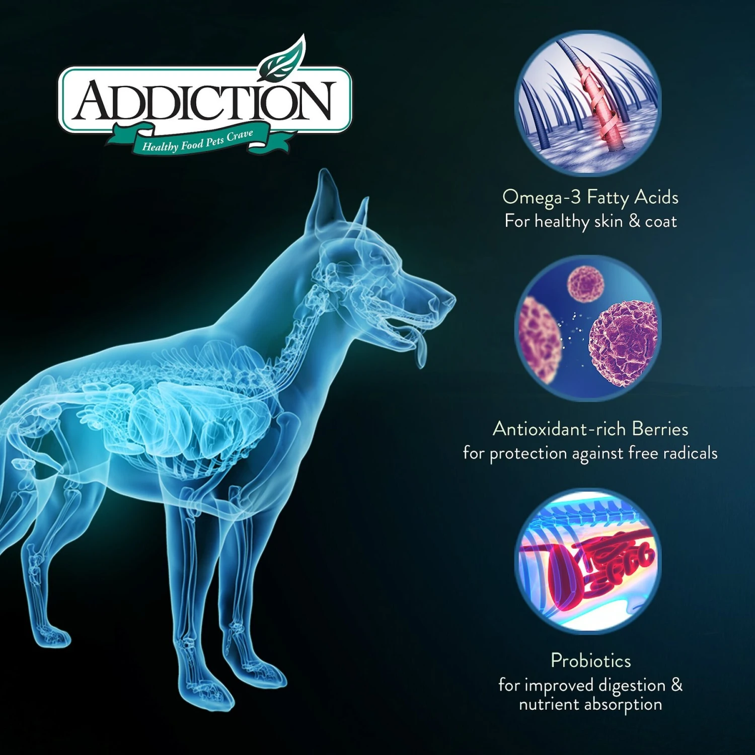 Addiction Grain-Free Le Lamb Dry Dog Food 6 Addiction Grain-Free Le Lamb Dry Dog Food - Image 6