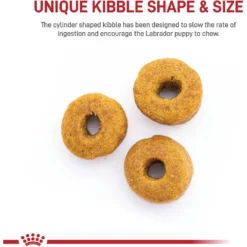 Royal Canin Breed Health Nutrition Labrador Retriever Puppy Dry Dog Food -ROYAL CANIN Shop 61486 PT3. AC SS1800 V1697216753