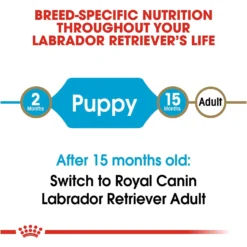 Royal Canin Breed Health Nutrition Labrador Retriever Puppy Dry Dog Food -ROYAL CANIN Shop 61486 PT7. AC SS1800 V1697212824