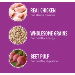 Iams Proactive Health Healthy Aging Large Breed Mature & Senior Formula With Real Chicken Dry Dog Food -ROYAL CANIN Shop 61752 PT2. AC SS1800 V1668024168