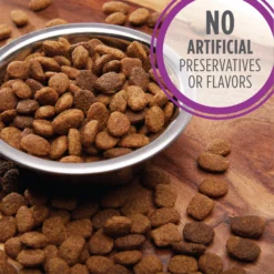 Iams Proactive Health Healthy Aging Large Breed Mature & Senior Formula With Real Chicken Dry Dog Food -ROYAL CANIN Shop 61752 PT3. AC SS1800 V1668024638