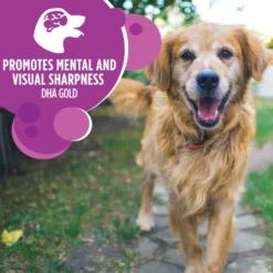 Iams Proactive Health Healthy Aging Large Breed Mature & Senior Formula With Real Chicken Dry Dog Food -ROYAL CANIN Shop 61752 PT4. AC SS1800 V1668023589