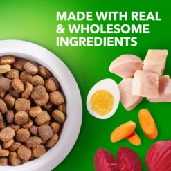 Iams Proactive Health Large Breed With Real Chicken Adult Dry Dog Food -ROYAL CANIN Shop 62299 PT3. AC SS1800 V1668024051