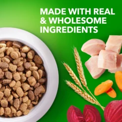 Iams Proactive Health Healthy Weight Management Low Fat Formula With Real Chicken Adult Dry Dog Food 12 Iams Proactive Health Healthy Weight Management Low Fat Formula With Real Chicken Adult Dry Dog Food -ROYAL CANIN Shop 62596 PT3. AC SS1800 V1667865789