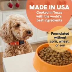 CANIDAE All Life Stages Lamb Meal & Rice Formula Dry Dog Food -ROYAL CANIN Shop 62600 PT4. AC SS1800 V1694442929